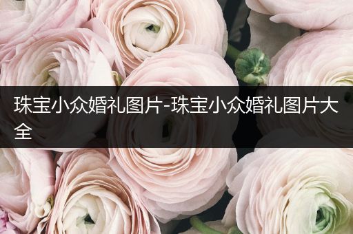 珠宝小众婚礼图片-珠宝小众婚礼图片大全